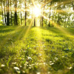 Úgy tűnik, korán érkezik a tavaszias időjárás