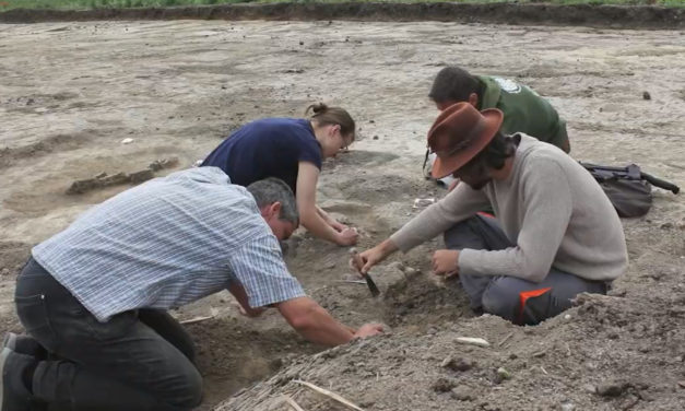 Jelentős bronzkori leleteket találtak Mány határában