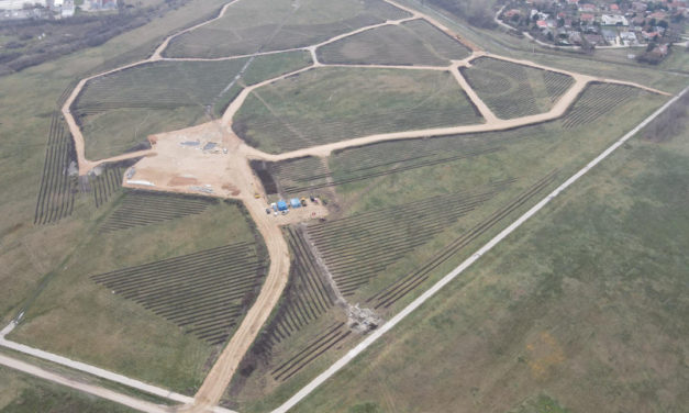 Két hét alatt 15 hektárnyi új erdő Fehérváron