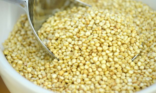 Quinoa – Táplál és gyógyít