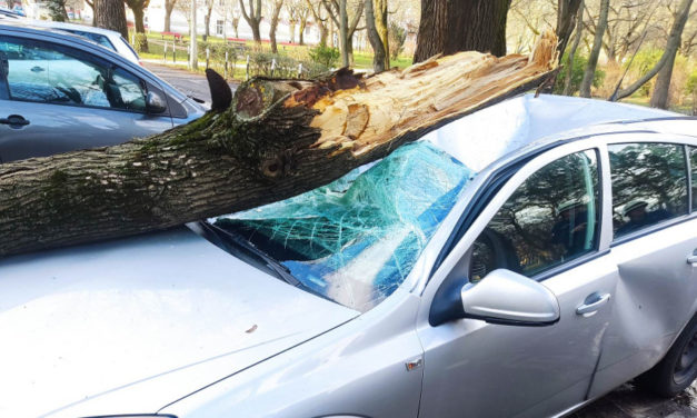 Reggel mérséklődött a vihar Fejérben