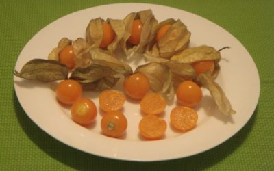 Kóstold meg a perui földicseresznyét! Nem fogsz csalódni!