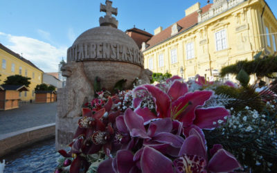 Újra virágba borul Székesfehérvár belvárosa