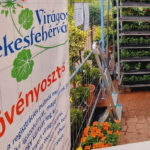 Virágos Székesfehérvár 2027: mától lehet jelentkezni – virágokra, esővízgyűjtőre, fecskefészekre, madárodúra és denevérodúra lehet pályázni
