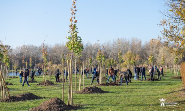 75 fát ültetett a Howmet-Köfém Kft.