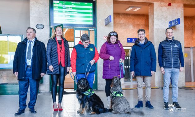Állatbarát lett a székesfehérvári vasútállomás