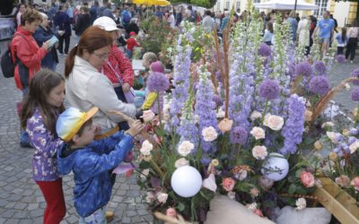 Pünkösdi Virágálom – varázslatos virágkompocíziók a Belvárosban