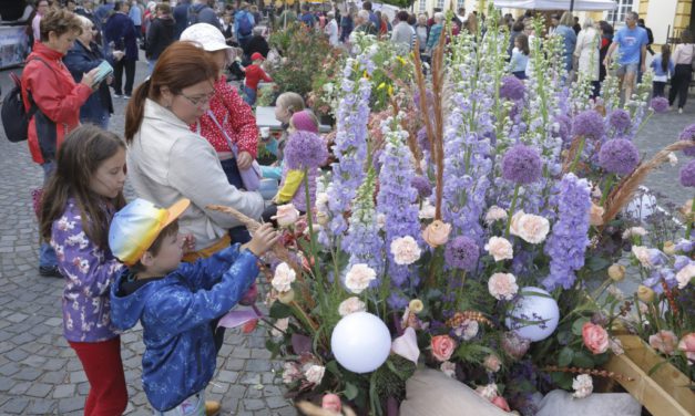 Pünkösdi Virágálom – varázslatos virágkompocíziók a Belvárosban