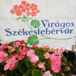 Már tudhatók a Városgondnokság népszerű lakossági pályázatainak időpontjai