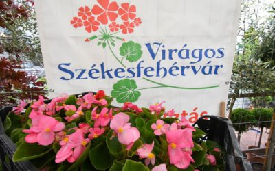 Már tudhatók a Városgondnokság népszerű lakossági pályázatainak időpontjai