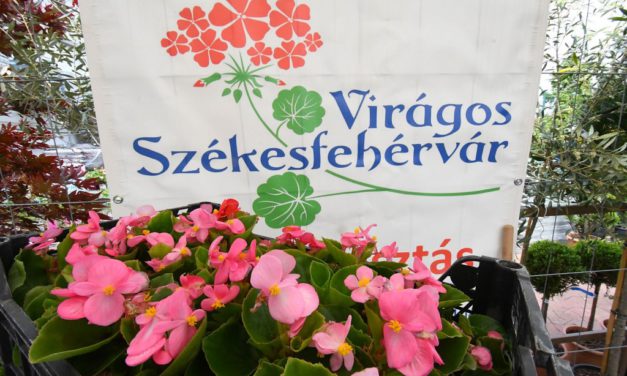 Már tudhatók a Városgondnokság népszerű lakossági pályázatainak időpontjai