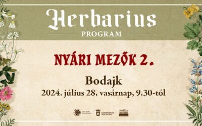 Bodajkon lesz a következő gyógynövénygyűjtő Herbarius túra