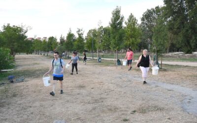 Önkéntesek és a Városgondnokság is öntözi a fákat Székesfehérváron
