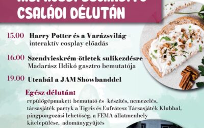 Kisfaludi suliindító Harry Potter varázsvilágával