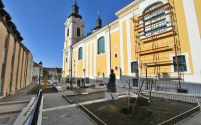 Jelentős fa és növényültetés a Géza nagyfejedelem téren