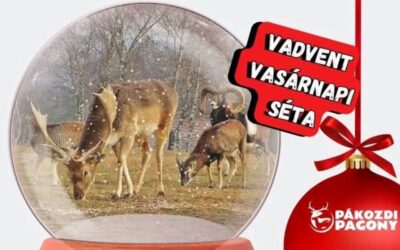 VADventi séta lesz vasárnap a Pákozdi Pagonyban