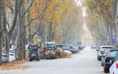 Egynapos parkolólezárás munkavégzés miatt a Gyümölcs utcában