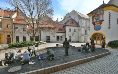 Rózsakert lesz az Órajáték előtt Fehérvár belvárosában