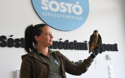 Vadvasárnapot rendeznek a Sóstó Vadvédelmi Központban