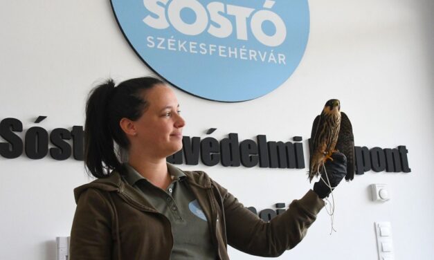 Vadvasárnapot rendeznek a Sóstó Vadvédelmi Központban
