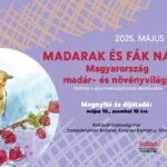 Fókuszban a madarak és fák