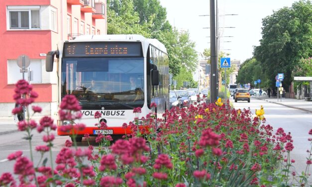 Augusztusban újabb menetrendbővítés léphet életbe a fehérvári buszközlekedésben