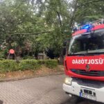 Országosan háromezer viharkár – Fehérváron is okozott életveszélyt egy ketté hasadt fa