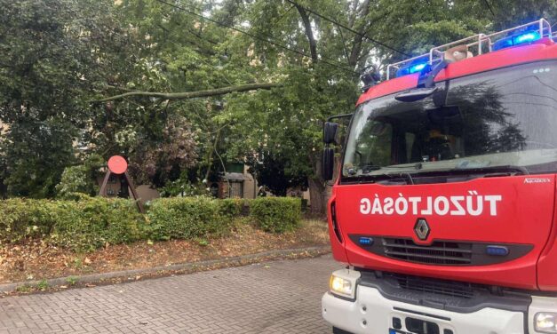 Országosan háromezer viharkár – Fehérváron is okozott életveszélyt egy ketté hasadt fa