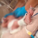 Újabb csecsemőt helyeztek a székesfehérvári babamentő inkubátorba