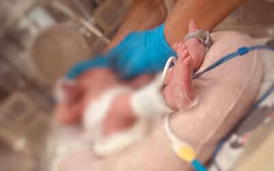 Újabb csecsemőt helyeztek a székesfehérvári babamentő inkubátorba