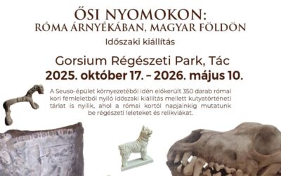 Itt járt Seuso? Két kiállítás is nyílik pénteken Gorsiumban