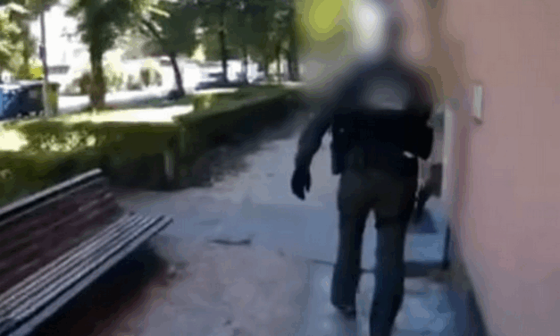 Drogkereskedő házaspárt fogtak el Székesfehérváron