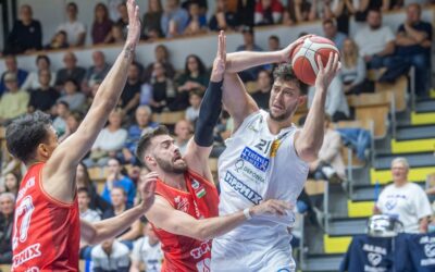 Kosárlabda: az Alba fontos meccset húzott be a Honvéd ellen