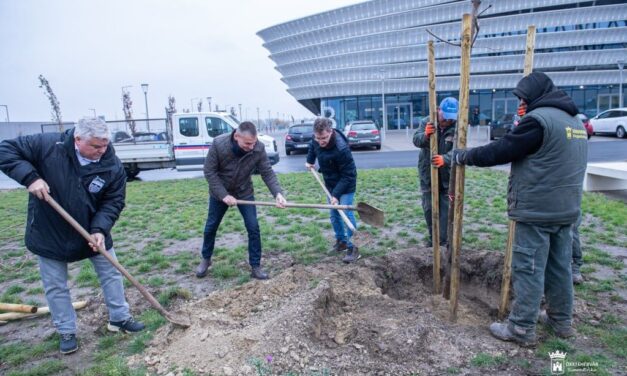Zöldül a MET Aréna környezete – faültetés polgármesteri közreműködéssel