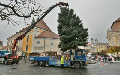 Áll már Fehérvár karácsonyfája a Városháza előtt