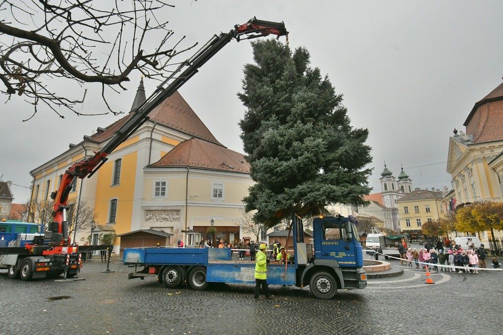 Karacsonyfa_Szfv25_1