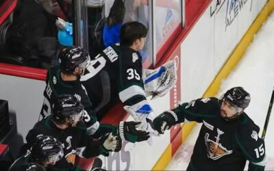 Csatárt igazolt a FEHA19, szerződést hosszabbított védőjével a Vidi