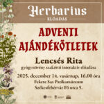 Ajándékötletek karácsonyra Lencsés Ritától