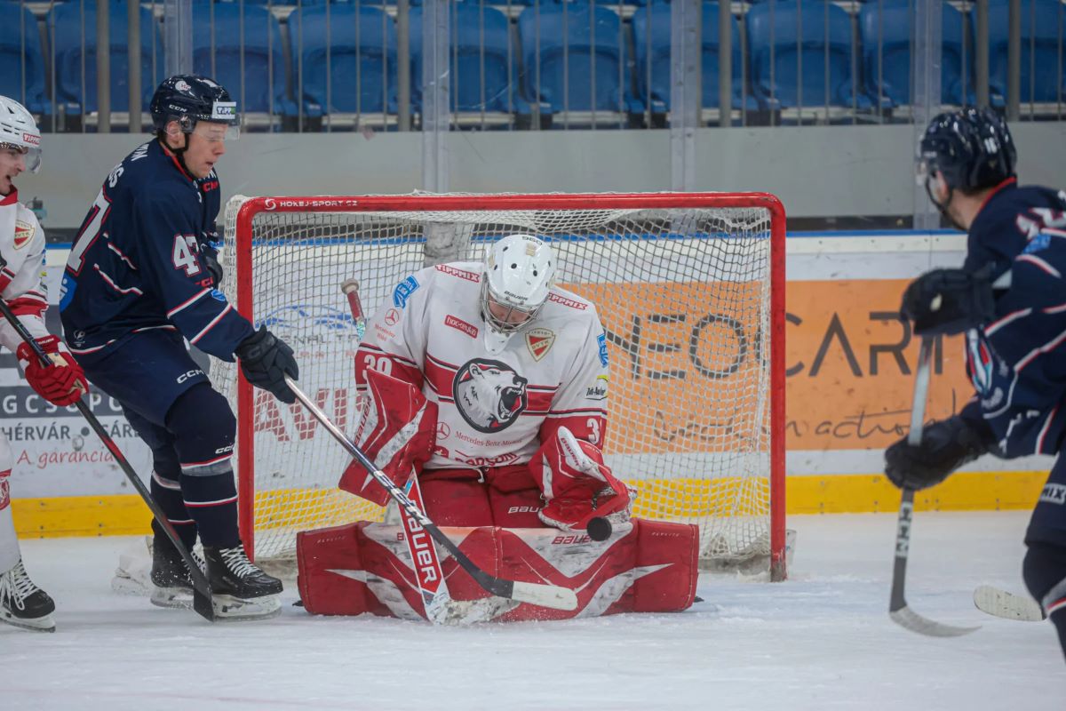 AV19_FEHA19_25_26_DVTK