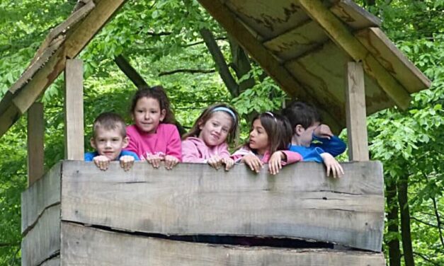 Folytatódik az Iskolában az Erdő Program