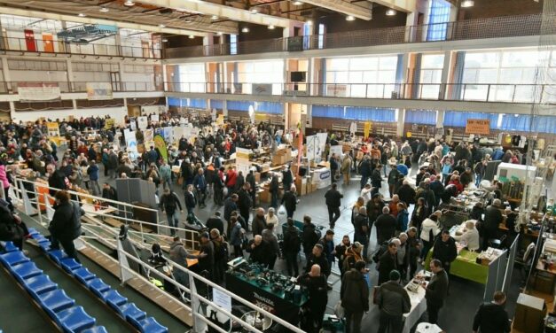 Ismét Fehérváron randevúztak az ország méhészei