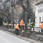 Válogatott évelő növényeket ültetnek a Rákóczi úti fasor alá