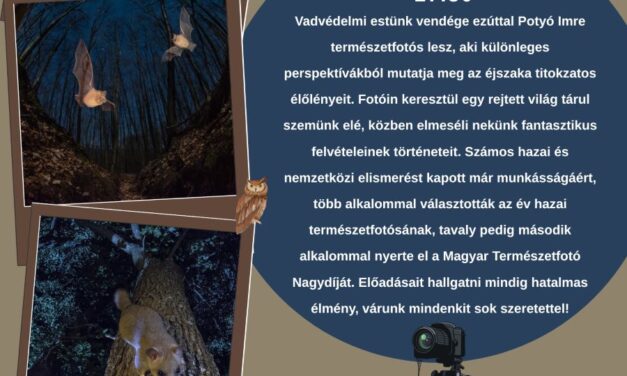 Potyó Imre természetfotóssal folytatódnak a Vadvédelmi esték a Sóstón