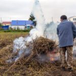 Továbbra is tilos az avar- és zöldhulladék-égetés Fehérváron