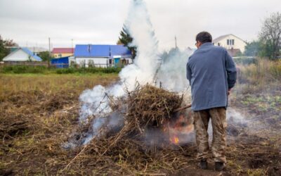 Továbbra is tilos az avar- és zöldhulladék-égetés Fehérváron