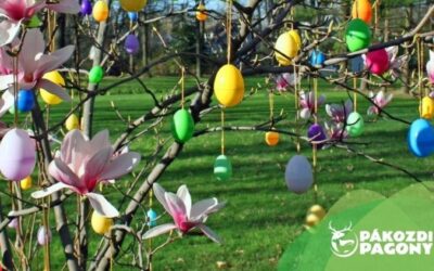 Felfedező kalandozás és tojásfadíszítés a Pákozdi Pagonyban