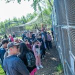 Sikeres volt a Sóstó Vadvédelmi Központ születésnapi programja