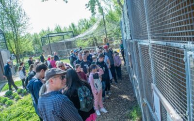 Sikeres volt a Sóstó Vadvédelmi Központ születésnapi programja