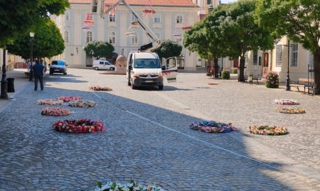 Újra virágba borul Fehérvár Belvárosa
