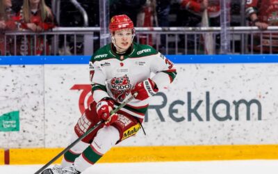 Jégkorong, ICEHL: svéd védőt igazolt a Volán